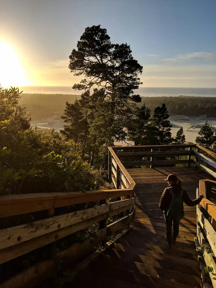 Oregon Dunes Viewpoint. Google Pixel 3 | 4.4 mm | f/1.8 | 1/4695s | ISO 65. Image published on 2019-03-19 under The Unsplash License.